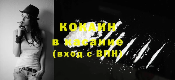 бошки Алзамай