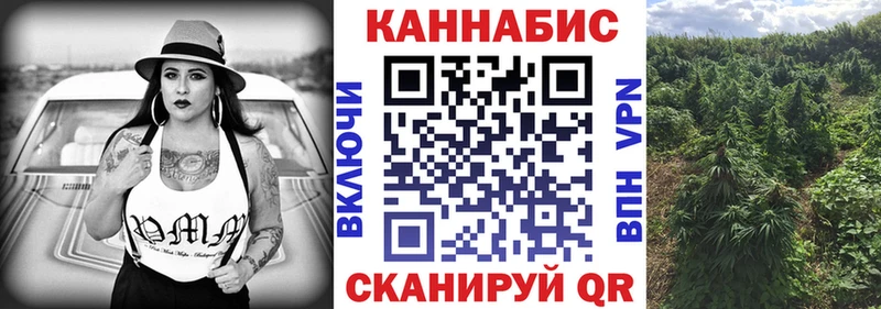 Конопля сатива Татарск
